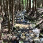 第１８０回投稿写真展