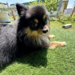 第１８６回投稿写真展