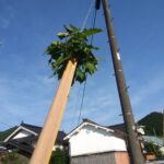 第１８８回投稿写真展