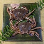 第１９３回投稿写真展