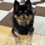 第１９７回投稿写真展