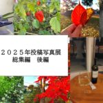 2025年総集編　後編