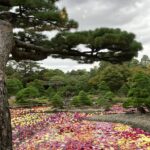 第２０６回投稿写真展