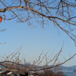 第２０９回投稿写真展