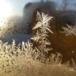 第２１１回投稿写真展