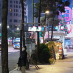 第２１６回投稿写真展