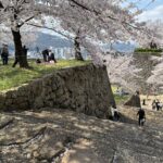 第２１９回投稿写真展