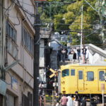 第２２０回投稿写真展