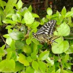 第２２４回投稿写真展
