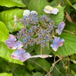 第２２８回投稿写真展
