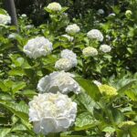 第２２９回投稿写真展