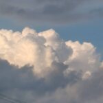 第２３５回投稿写真展