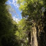 第２４０回投稿写真展